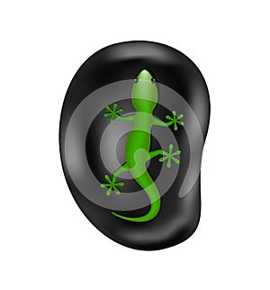 Lizard lying on the stone