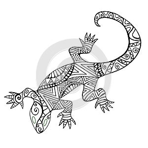 Lizard with many patterns for coloring book, isolated on white background.