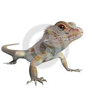 Lizard Portrait