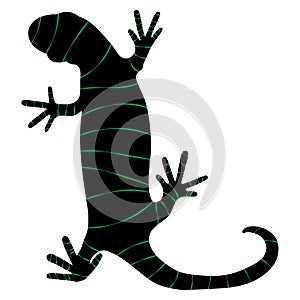 Lizard reptile gecko black and colour stripes silhouette vector illustration. Simple black silhouette illustration