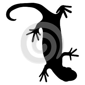 Lizard reptile gecko black silhouette vector illustration. Simple black silhouette illustration isolated on white