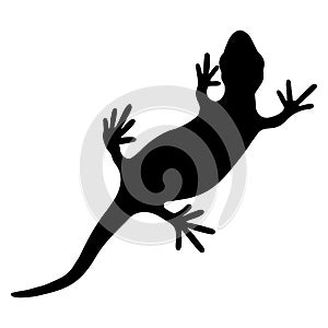 Lizard reptile gecko black silhouette vector illustration. Simple black silhouette illustration isolated on white