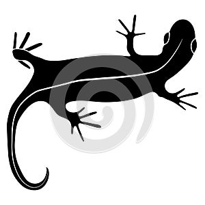 Lizard reptile gecko black silhouette vector illustration. Simple black silhouette illustration isolated on white background.