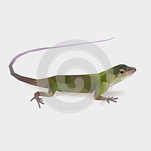 Lizard reptile Polygonal vector illustration