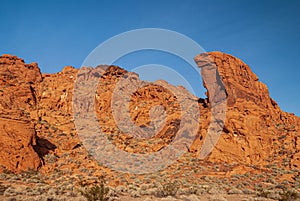 Lizard Rock in Valley of Fire, Nevada, USA