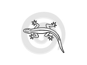 Lizard shape isolated on white background. Reptiles and amphibians concept.