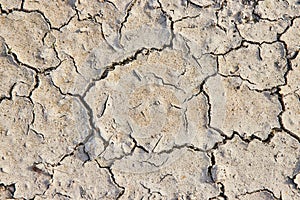 Lizard skin pattern, cracked caked dirt background asset, jagged lines, lightning etchings in ground