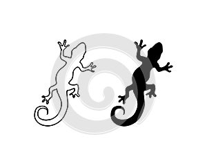 Lizard vector, design, animal, and reptile, gecko