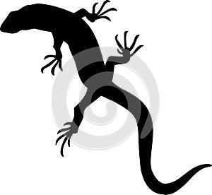 lizard vector silhouette black