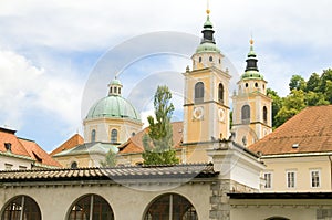 Ljubljana Cathedral St. Nicholas Church Slovenia Europe in old t