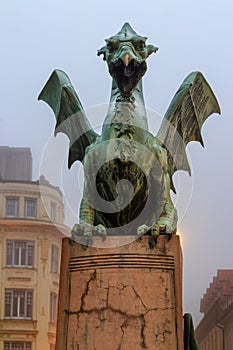 Ljubljana`s dragon