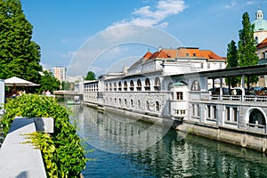 Ljubljanica River adjacent to PleÄnik`s Market in the town center of Ljubljana