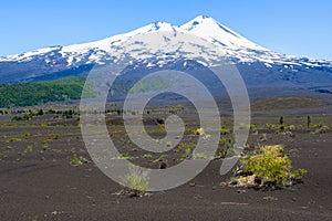 Llaima volcano, Conguillio National Park, Chile photo