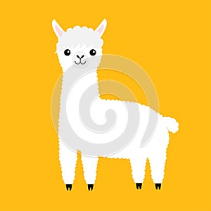 Llama alpaca animal. Cute cartoon funny kawaii character. Fluffy fur. Curly haircut. Childish baby collection. T-shirt, greeting c