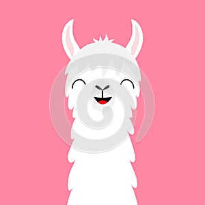 Llama alpaca animal face neck. Fluffy hair fur. Cute cartoon funny kawaii smiling character. Childish baby collection. T-shirt, gr photo