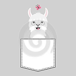 Llama alpaca face head in the pocket. Butterfly. Cute cartoon animals. Kawaii character. Dash line. White and black color. T-shirt