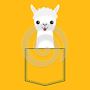 Llama alpaca face head in the pocket. Cute cartoon animals. Kawaii character. Dash line. White and black color. T-shirt design.