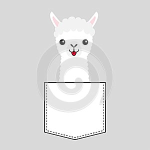 Llama alpaca face head in the pocket. Cute cartoon animals. Kawaii character. Dash line. White and black color. T-shirt design.