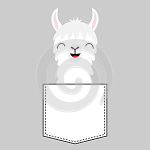 Llama alpaca face head in the pocket. Cute cartoon baby animal. Dash line. Kawaii character. White and black color. T-shirt design