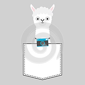 Llama alpaca face head in the pocket. Photo camera. Cute cartoon animals. Kawaii character. Dash line. White and black color. T-