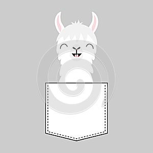 Llama alpaca face head in the pocket. Smiling teeth. Cute cartoon animals. Dash line. Kawaii character. White and black color. T-