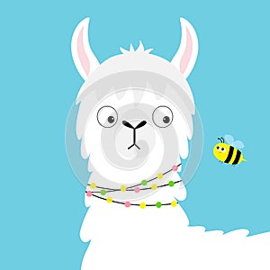 Llama alpaca face looking at bee. Childish baby collection. Cute cartoon funny kawaii character. Fluffy hair fur. T-shirt, greetin