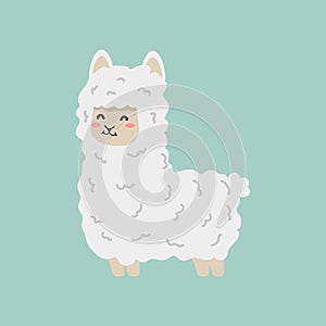 Llama alpaca fluffy flat cartoon