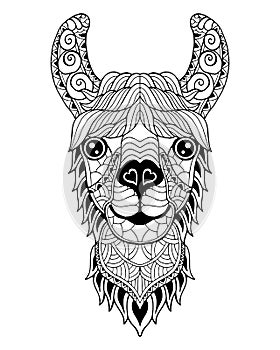 Llama Alpaca mandala zentangle stylized. Freehand vector illustration. photo