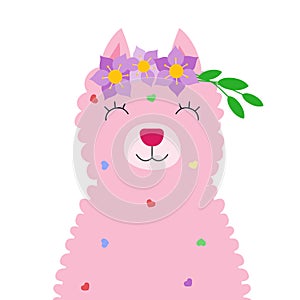 Llama alpaca pink fur wool wearing flower wreath