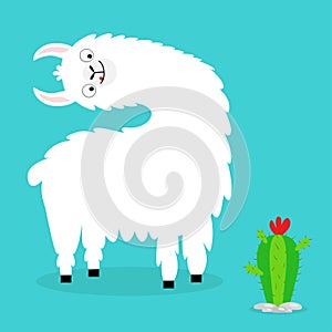 Llama alpaca turning head face. Cactus. Cute cartoon funny kawaii character. Fluffy hair fur. Childish baby collection. T-shirt,