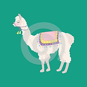 Llama alpaka illustration