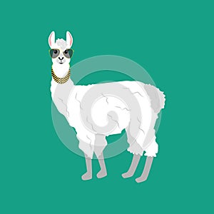 Llama alpaka illustration