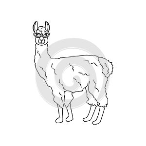 Llama in cateye glasses outline illustration