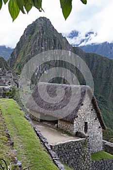 Llama - Machu Picchu in Peru - South America