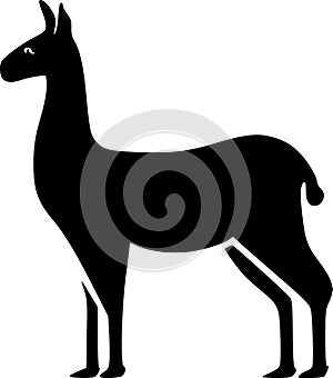 Llama - minimalist and simple silhouette - vector illustration
