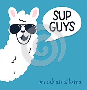 Llama poster with inscription `sup guys` photo