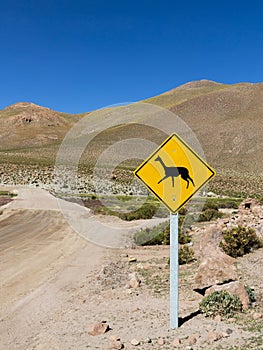 Llama road sign at atacama desert