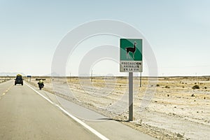 Llama signal on Bolivia Road