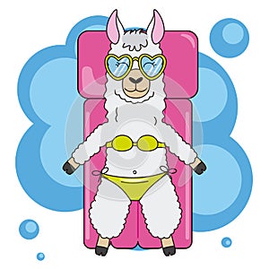 Llama with sunglasses and a swimsuit photo