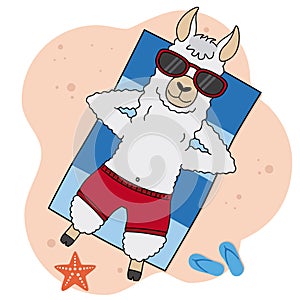 Llama sunbathing on the beach