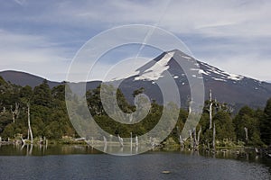 Llama volcano in Conguillio park photo