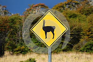 A llama warning road sign photo