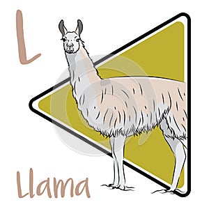 Llamas are social animals and live with others as a herd.