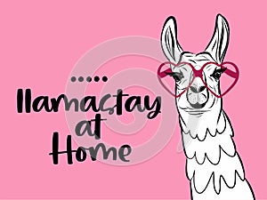Llamastay llama stay / namaste at home
