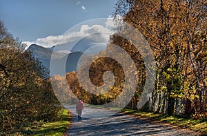 Llanberis In Autumn