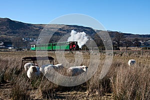Llanberis steam train