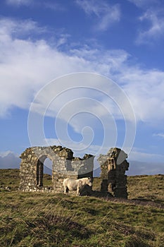 On Llanddwyn Island