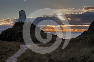 Llandwyn Island photo