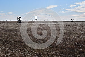 Llano estacado sea of grass and pumpjacks