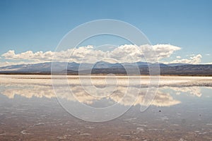 Llas salinas grandes photo